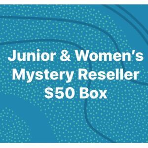 Mystery Reseller Box - 5lbs - Express, Sierra Sky, Wild Fable, Windsor, Wet Seal